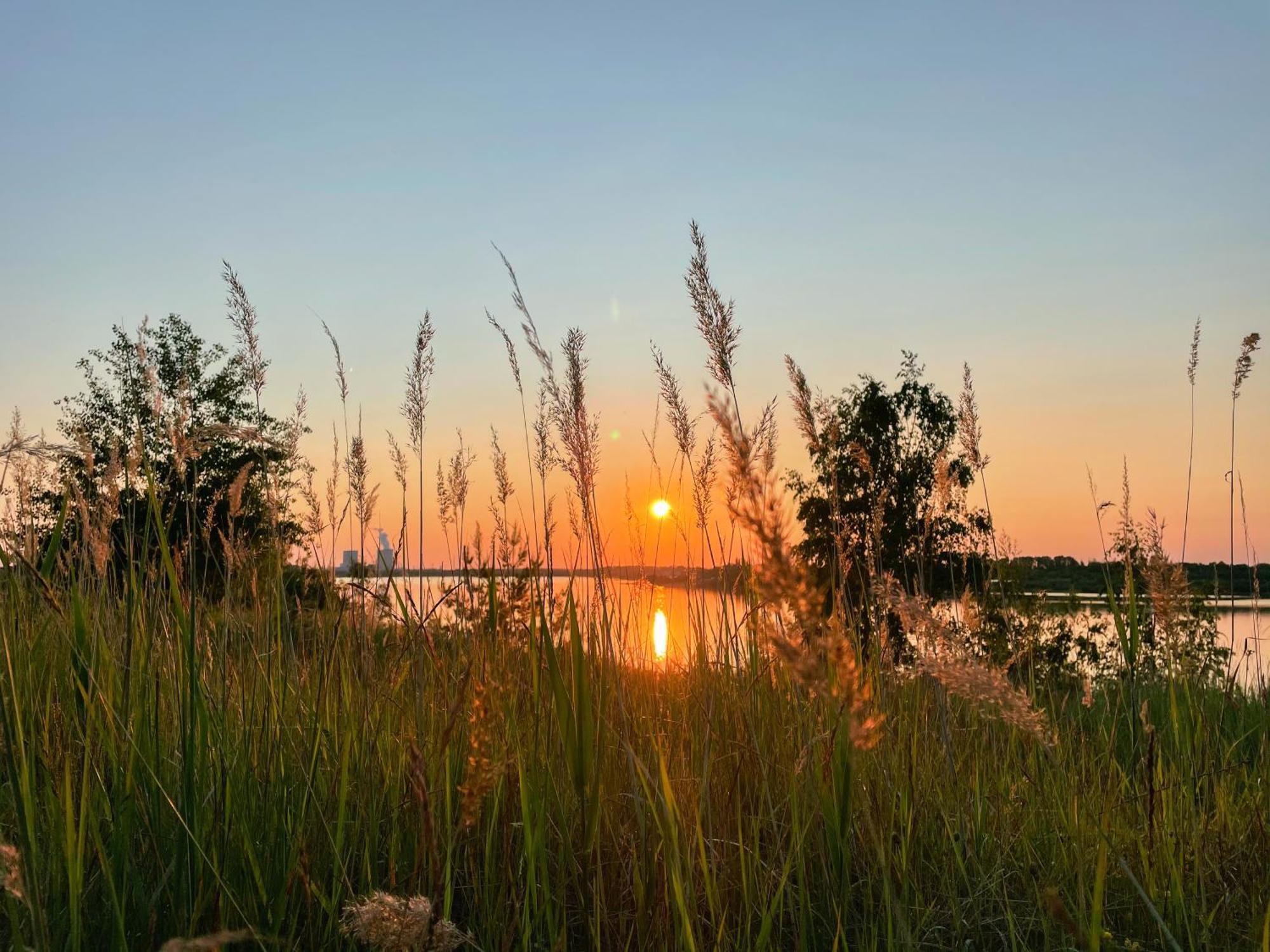 Haus Im Schilf 1 - Ferienwohnungen Am Hainer See Bei Leipzig Neukieritzsch Ngoại thất bức ảnh