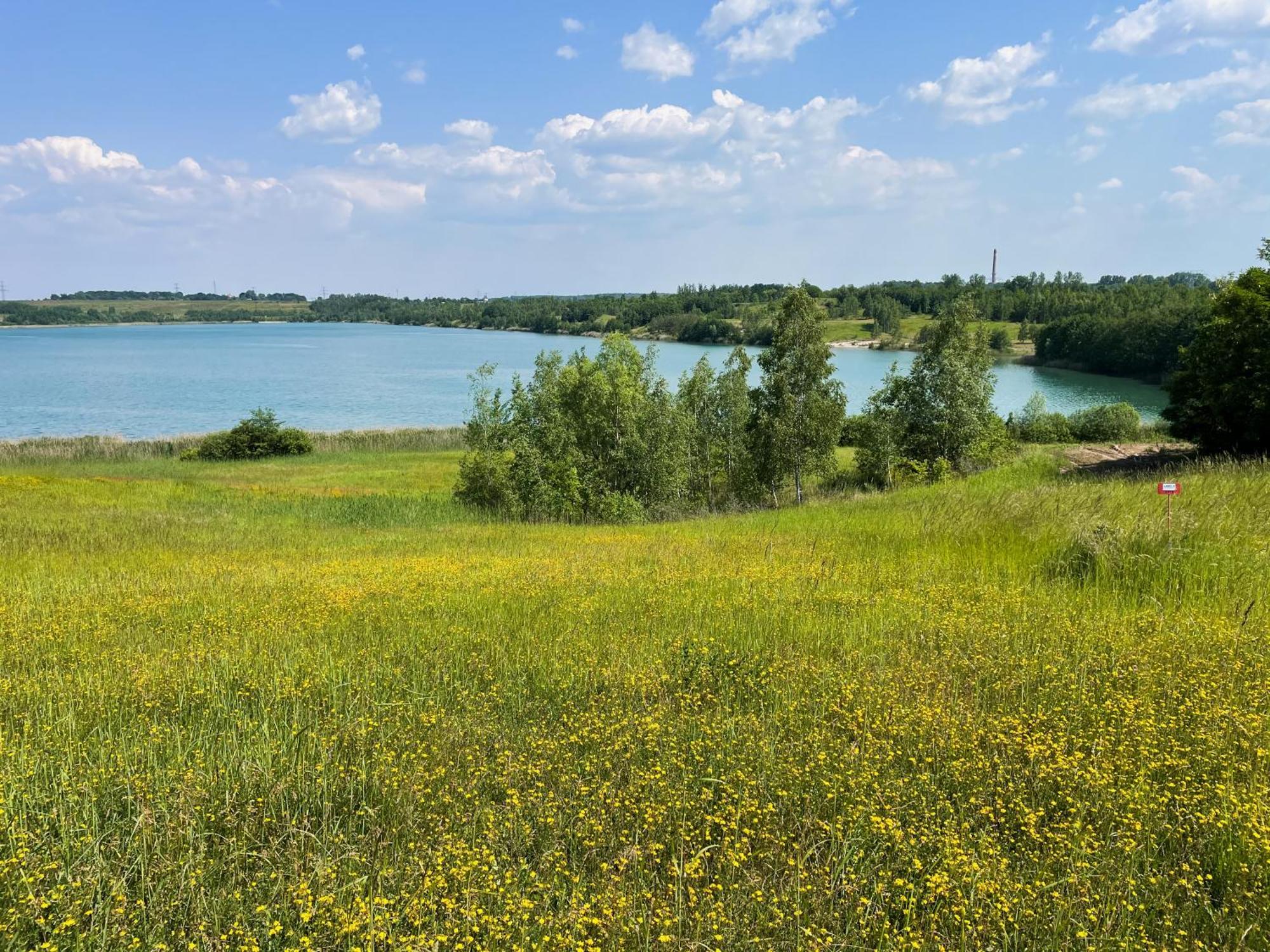 Haus Im Schilf 1 - Ferienwohnungen Am Hainer See Bei Leipzig Neukieritzsch Ngoại thất bức ảnh